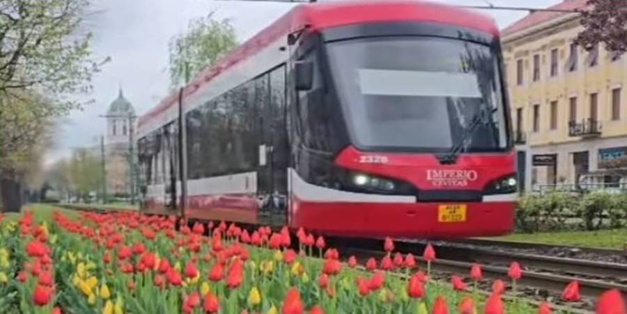 Transport public la prețul de 1 leu / 24 ore