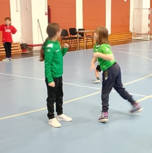 Luna mai aduce turnee de baby handbal și minihandbal în Baia Mare