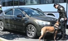 Peste 600 de sancțiuni contravenționale aplicate de polițiștii maramureșeni în minivacanța de 1 Mai