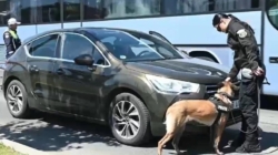 Peste 600 de sancțiuni contravenționale aplicate de polițiștii maramureșeni în minivacanța de 1 Mai
