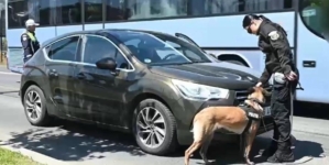 Peste 600 de sancțiuni contravenționale aplicate de polițiștii maramureșeni în minivacanța de 1 Mai