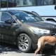 Peste 600 de sancțiuni contravenționale aplicate de polițiștii maramureșeni în minivacanța de 1 Mai