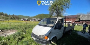 Percheziții în Leordina într-un dosar de infracțiuni silvice