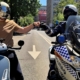 18-24 mai, Săptămâna siguranței rutiere