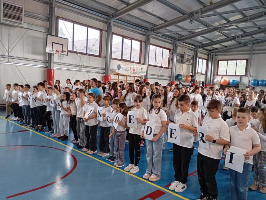 Școala Gimnazială „Dr. Ioan Mihalyi de Apșa” din Sighetu Marmației, certificată ca Școală a Încrederii