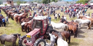 Târgul de Animale din Târgu Lăpuș va găzdui prima ediție a Expoziției de Animale