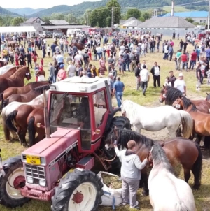 Târgul de Animale din Târgu Lăpuș va găzdui prima ediție a Expoziției de Animale