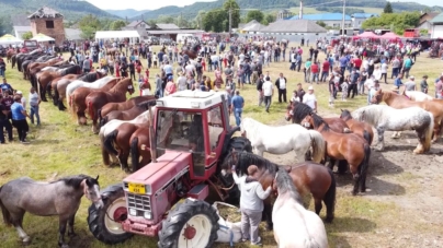 Târgul de Animale din Târgu Lăpuș va găzdui prima ediție a Expoziției de Animale