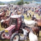 Târgul de Animale din Târgu Lăpuș va găzdui prima ediție a Expoziției de Animale