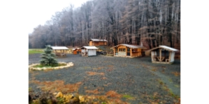 Festivalul „Pintea Viteazul” revine. Ediţia 2026 se va desfăşura la Popasul Vânătorului din comuna Cerneşti