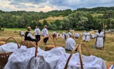 Ca pe vremuri: Se va face clacă de coasă în Groși, pe Valea Mare