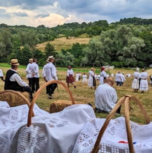 Ca pe vremuri: Se va face clacă de coasă în Groși, pe Valea Mare