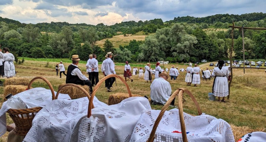Ca pe vremuri: Se va face clacă de coasă în Groși, pe Valea Mare