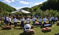 La Târgu Lăpuș se organizează Balul Câmpenesc Caritabil- ediția a IV-a