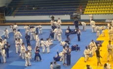 Medalii și rezultate bune pentru Academia de Judo Baia Mare la Turneul Internațional „Cupa de Aur” desfășurat în Bihor