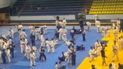 Medalii și rezultate bune pentru Academia de Judo Baia Mare la Turneul Internațional „Cupa de Aur” desfășurat în Bihor