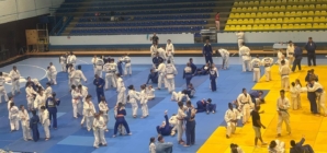 Medalii și rezultate bune pentru Academia de Judo Baia Mare la Turneul Internațional „Cupa de Aur” desfășurat în Bihor