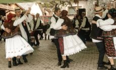 „Danțu’ la șură” revine la Băsești pe 5 iulie
