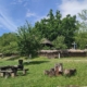 Un artist francez aduce în prim-plan frumusețea satului maramureșean, într-o expoziție de fotografie vernisată la Muzeul Satului Baia Mare