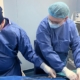 Spitalul Județean de Urgență „Dr. Constantin Opriș” continuă experiența ECMO: un caz critic tratat prin terapie de oxigenare extracorporeală