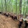 Cercetașii Maramureșului și Royal Rangers au încheiat anul cercetășesc printr-o ultimă drumeție