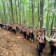 Cercetașii Maramureșului și Royal Rangers au încheiat anul cercetășesc printr-o ultimă drumeție