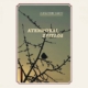 Profesorul băimărean Alexandru Sabou lansează volumul bilingv de poezii „Atemporal / Zeitlos”