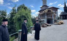 PS Părinte Iustin a vizitat Mănăstirea Rohia și șantierul noului Altar de vară