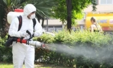 Acțiune de dezinsecție la Tăuții Măgherăuș: intervenție pentru combaterea țânțarilor și căpușelor
