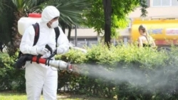 Acțiune de dezinsecție la Tăuții Măgherăuș: intervenție pentru combaterea țânțarilor și căpușelor