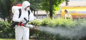 Acțiune de dezinsecție la Tăuții Măgherăuș: intervenție pentru combaterea țânțarilor și căpușelor