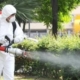 Acțiune de dezinsecție la Tăuții Măgherăuș: intervenție pentru combaterea țânțarilor și căpușelor