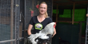 Din pasiune spre o mică afacere: Povestea Andreei Dunca din Fărcașa și creșterea găinilor de rasă