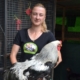 Din pasiune spre o mică afacere: Povestea Andreei Dunca din Fărcașa și creșterea găinilor de rasă