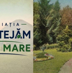 O nouă inițiativă civică: a fost înființată Asociația „Protejăm Baia Mare”