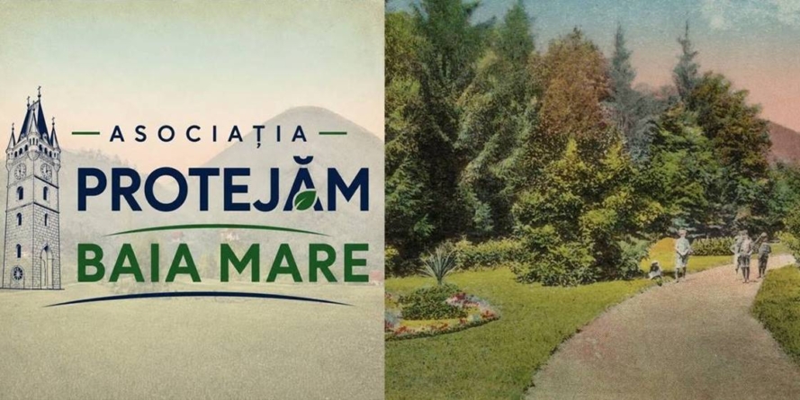 O nouă inițiativă civică: a fost înființată Asociația „Protejăm Baia Mare”