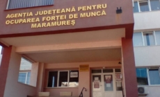 AJOFM Maramureș lansează cursuri gratuite pentru tineri între 16 și 30 de ani