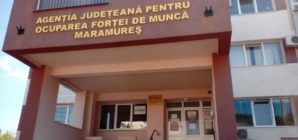 AJOFM Maramureș lansează cursuri gratuite pentru tineri între 16 și 30 de ani