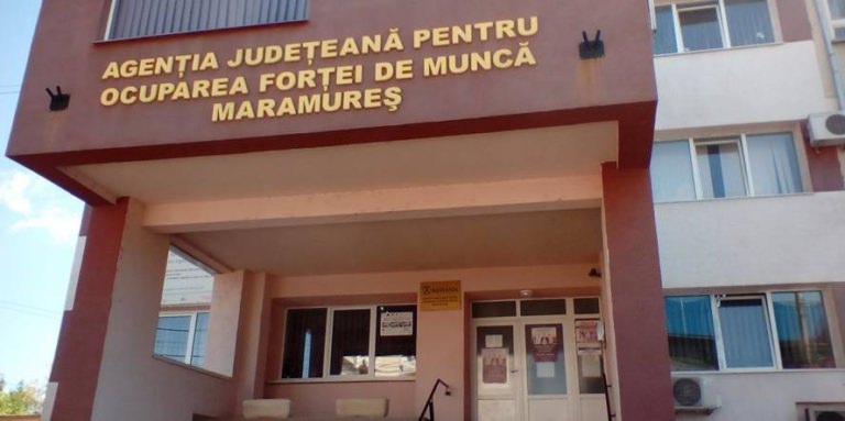 AJOFM Maramureș lansează cursuri gratuite pentru tineri între 16 și 30 de ani