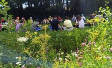 La Baia Sprie, tabăra „SPRIA4FUN” aduce aventura și engleza în vacanța de vară