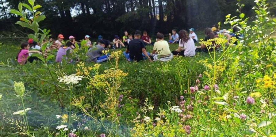 La Baia Sprie, tabăra „SPRIA4FUN” aduce aventura și engleza în vacanța de vară