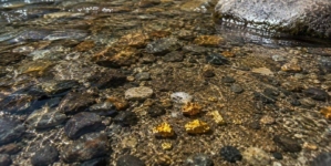 Aur în Someșul Mare? O descoperire care pare desprinsă din alte vremuri