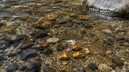Aur în Someșul Mare? O descoperire care pare desprinsă din alte vremuri