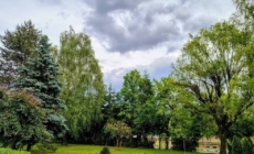 Prognoza meteo Maramureș, joi 11 iunie 2026