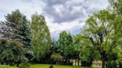 Prognoza meteo Maramureș, joi 11 iunie 2026