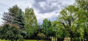 Prognoza meteo Maramureș, joi 11 iunie 2026