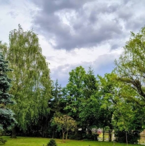 Prognoza meteo Maramureș, joi 11 iunie 2026