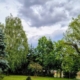 Prognoza meteo Maramureș, joi 11 iunie 2026