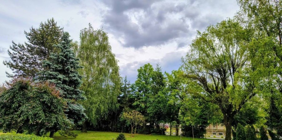 Prognoza meteo Maramureș, sâmbătă 4 iulie 2026