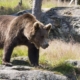 Inspectoratul de Jandarmi Județean Maramureș a emis o atenționare